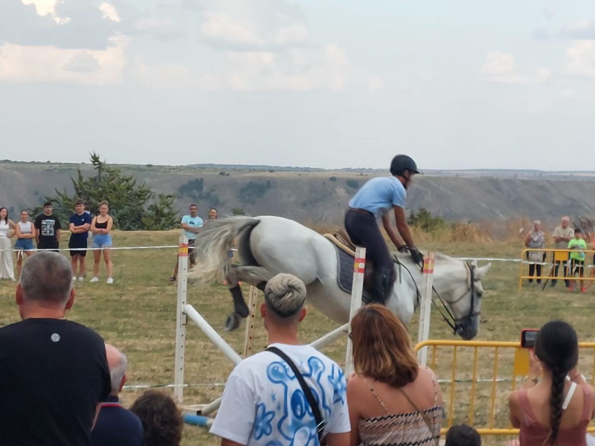 Hipica fiestas medinaceli (24)