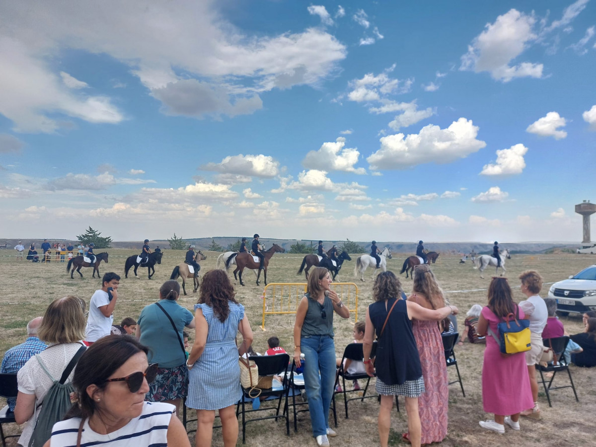 Hipica fiestas medinaceli (2)