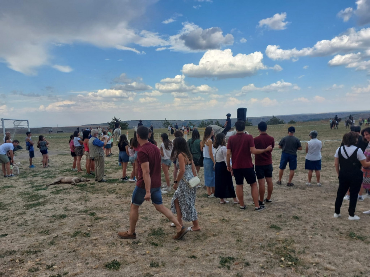 Hipica fiestas medinaceli (10)