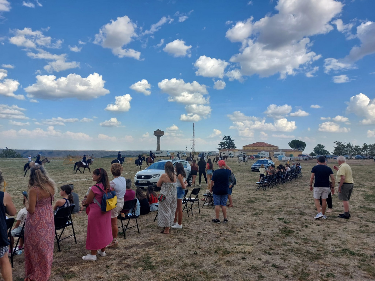 Hipica fiestas medinaceli (4)