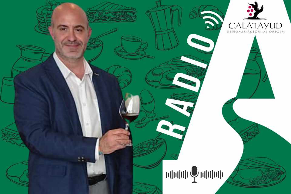 Michel arenas dop calatayud
