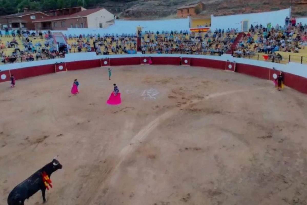 Toros arcos (2)