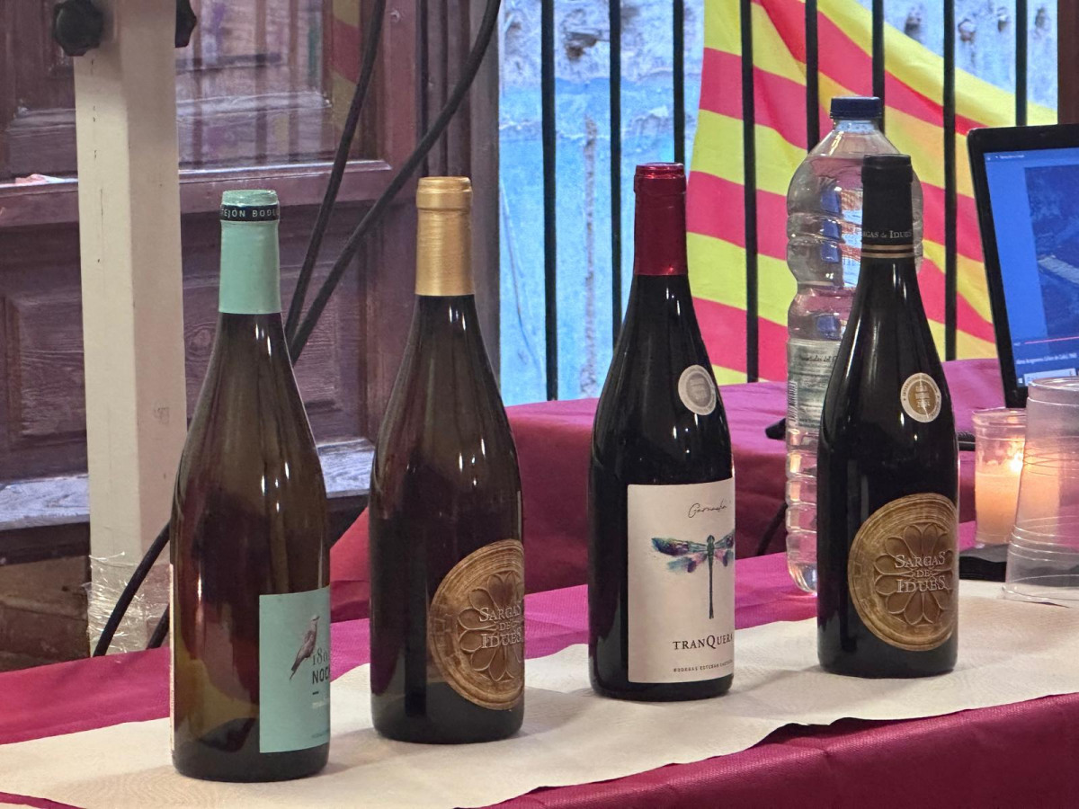 ESTEBAN CASTEJON IBDES DOP CALATAYUD CATA DE VINOS (1)