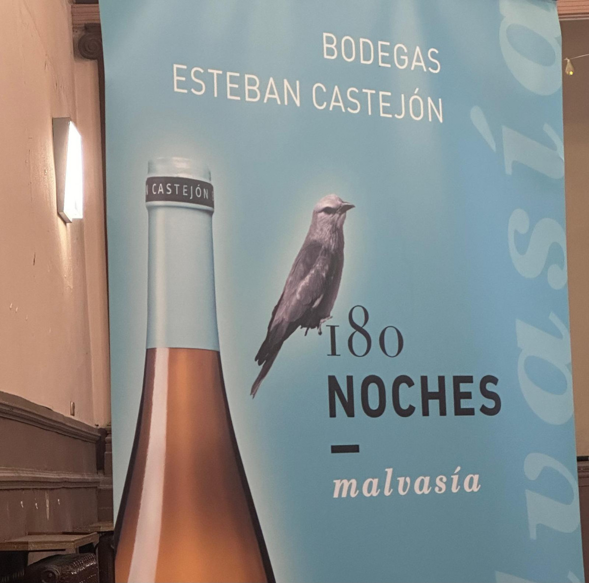 ESTEBAN CASTEJON IBDES DOP CALATAYUD CATA DE VINOS (7)