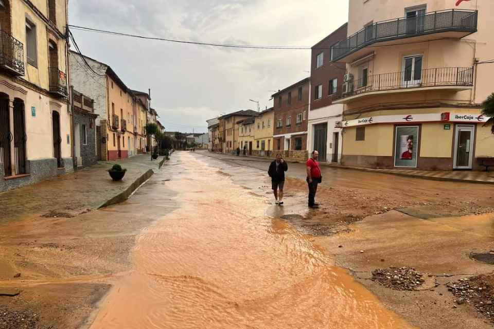 Tormentas cetina