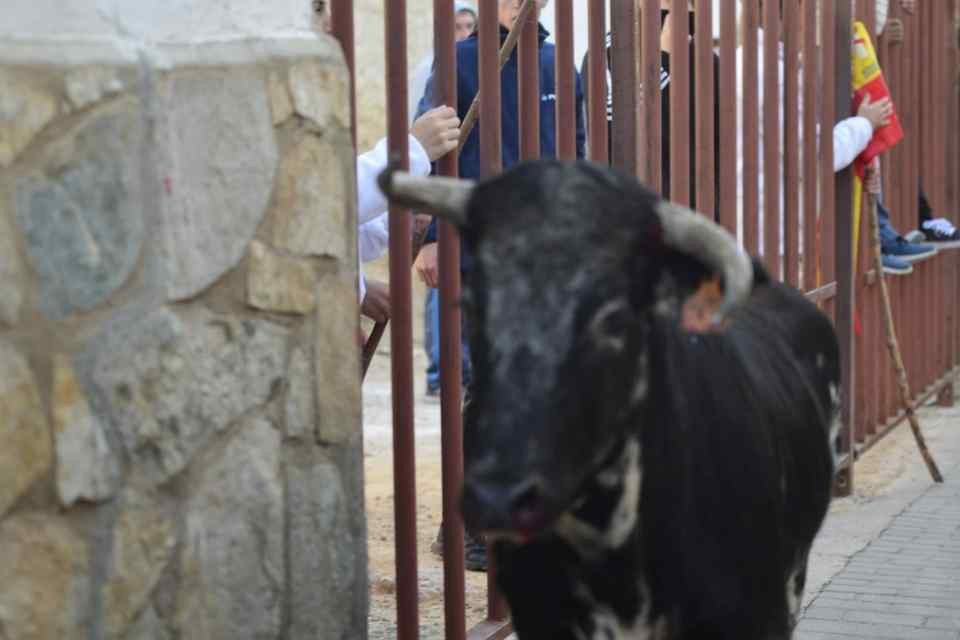 Encierro arcos