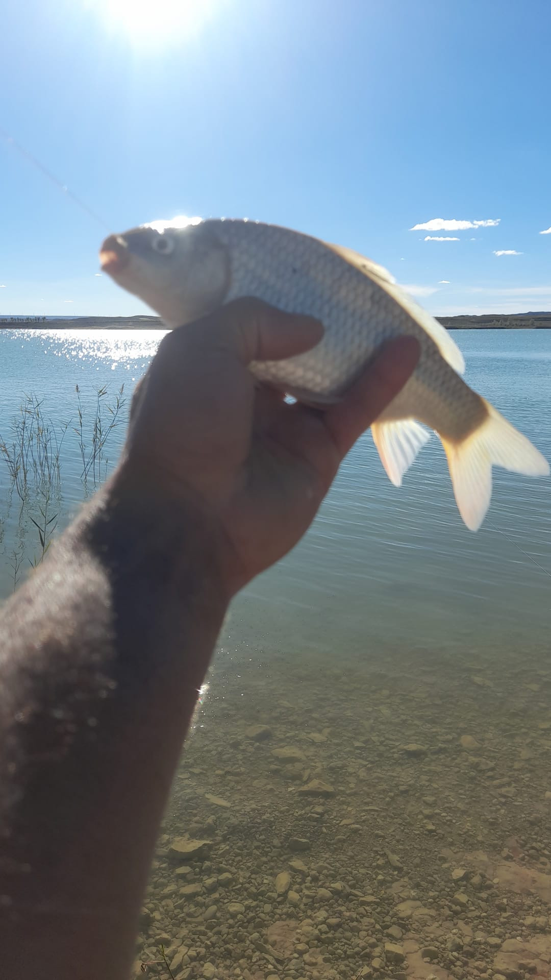 IMG 20240930 WA0027