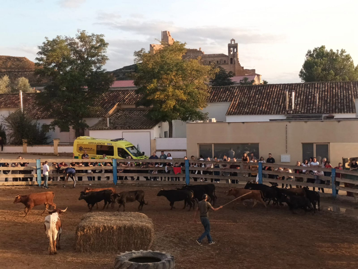 Fiestas monreal (2)