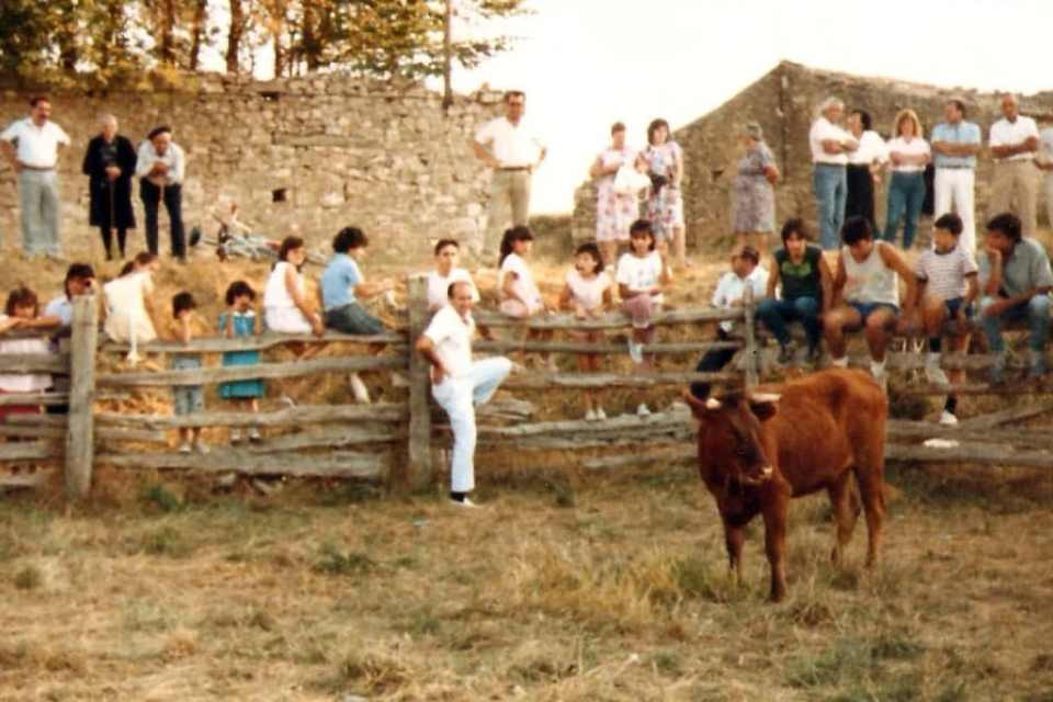 Vaquillas judes