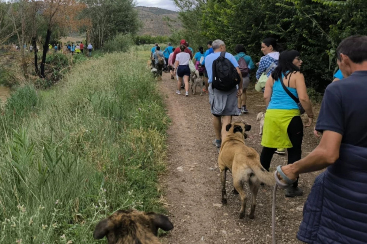Andada perruna