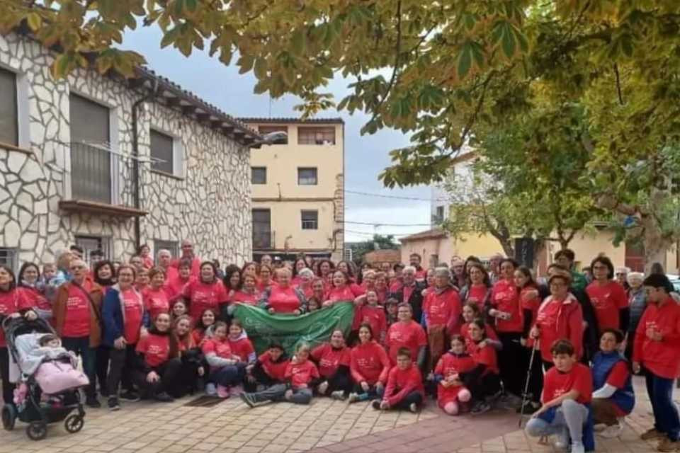 Marcha solidaria ibdes cancer