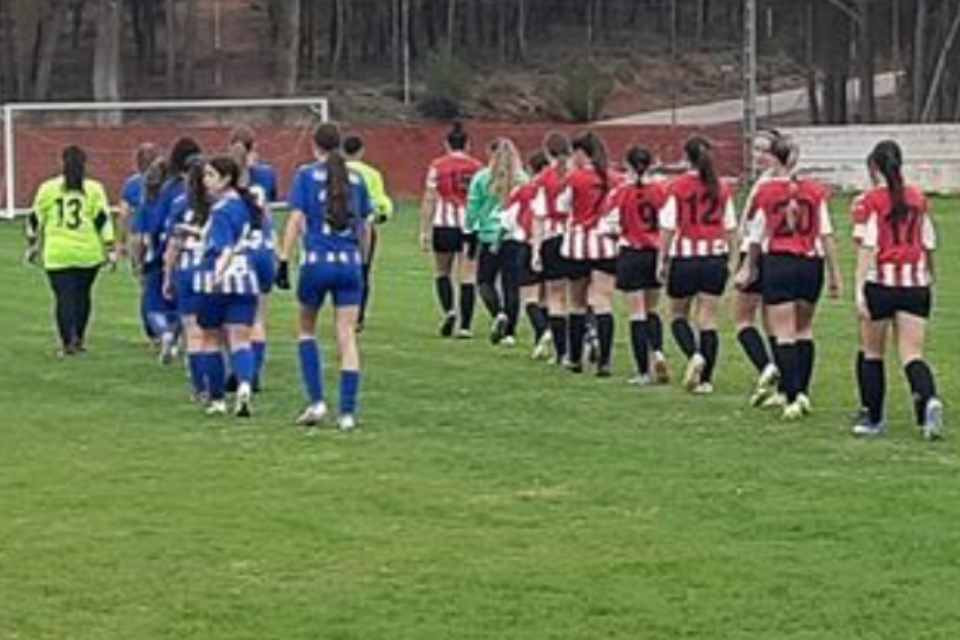 Ud ariza fem