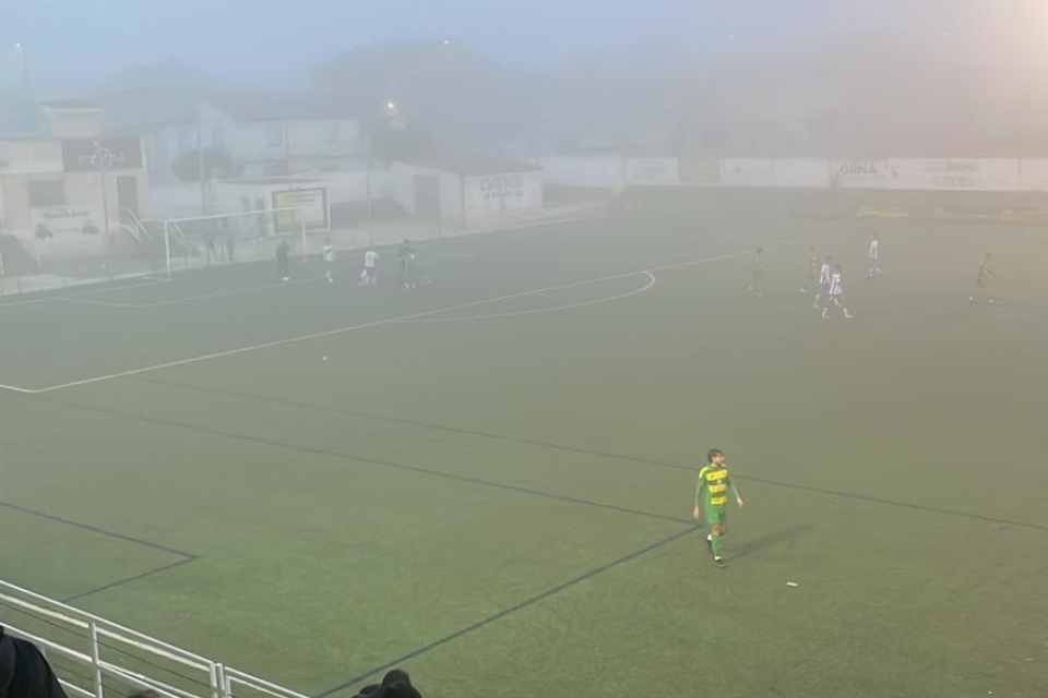 Zalux alhama la almunia