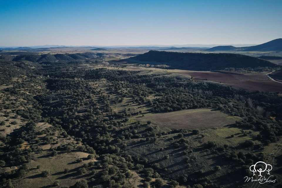 La alameda deza