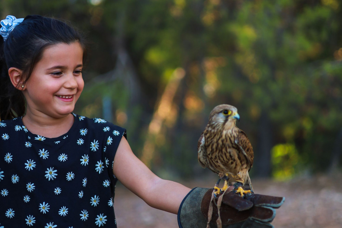 Espiritu animal excursiones colegios