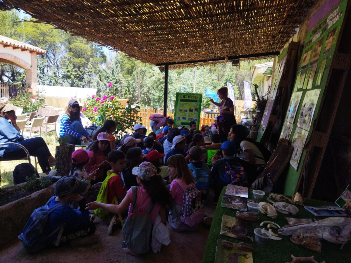 Espiritu animal rural excursion escolares, colegios (3)