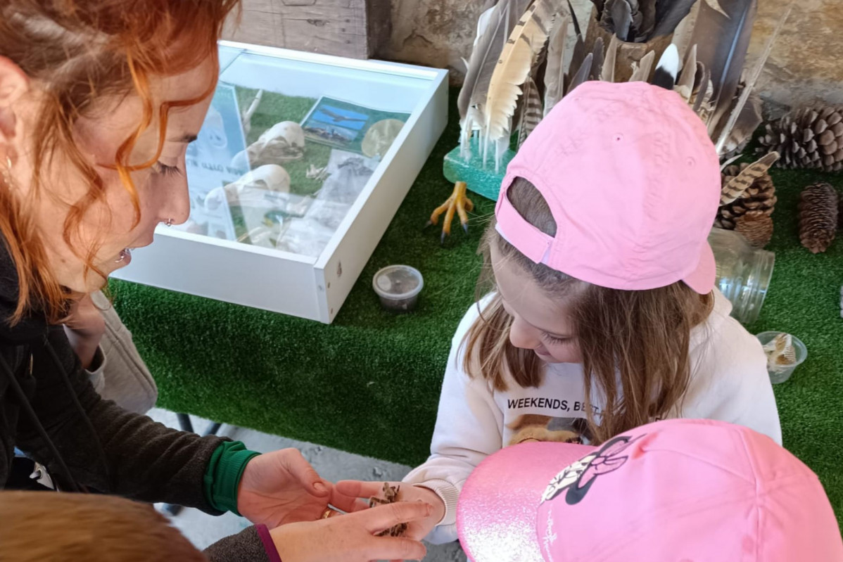 Espiritu animal excursiones colegio