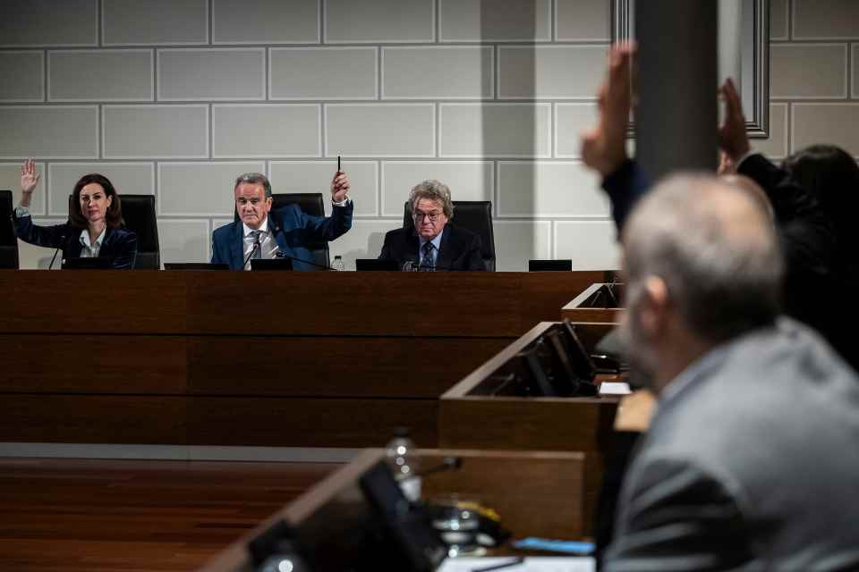 Pleno dpz