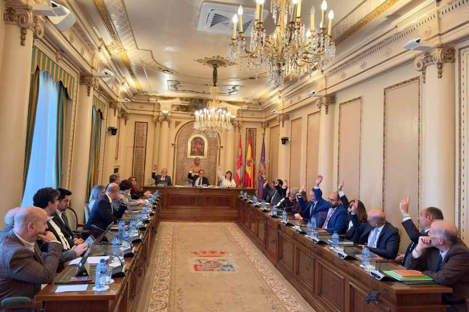 Pleno dip soria