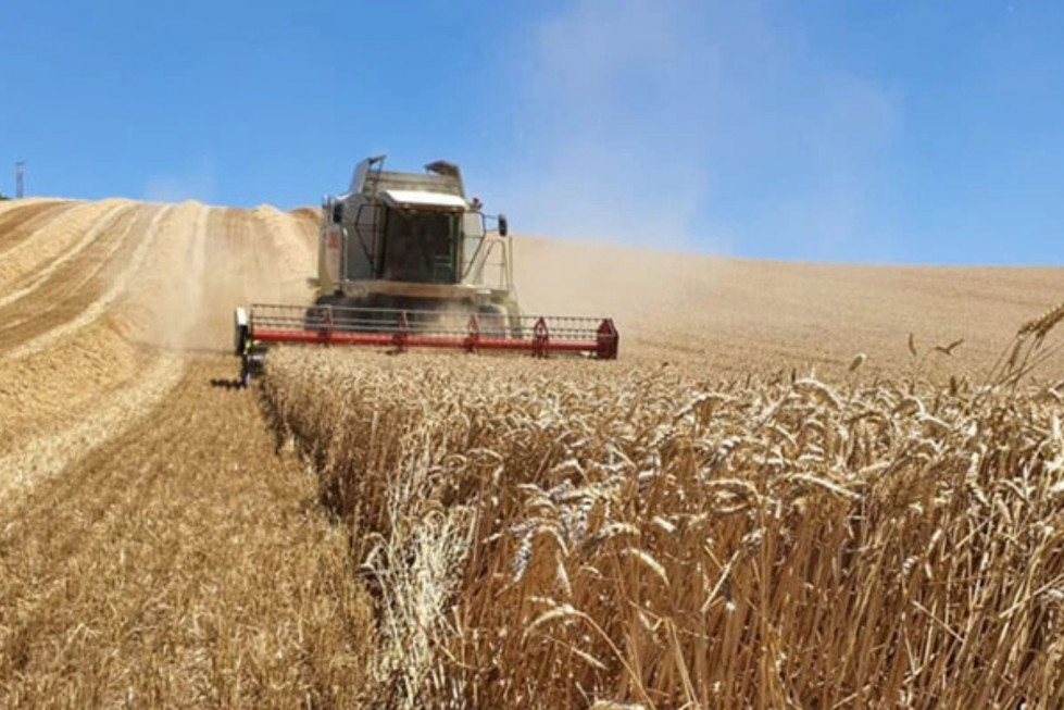 AGRICULTURA