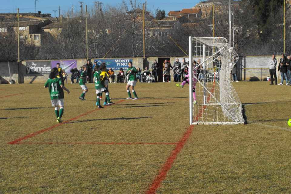 Arcu00f3briga alevu00edn4