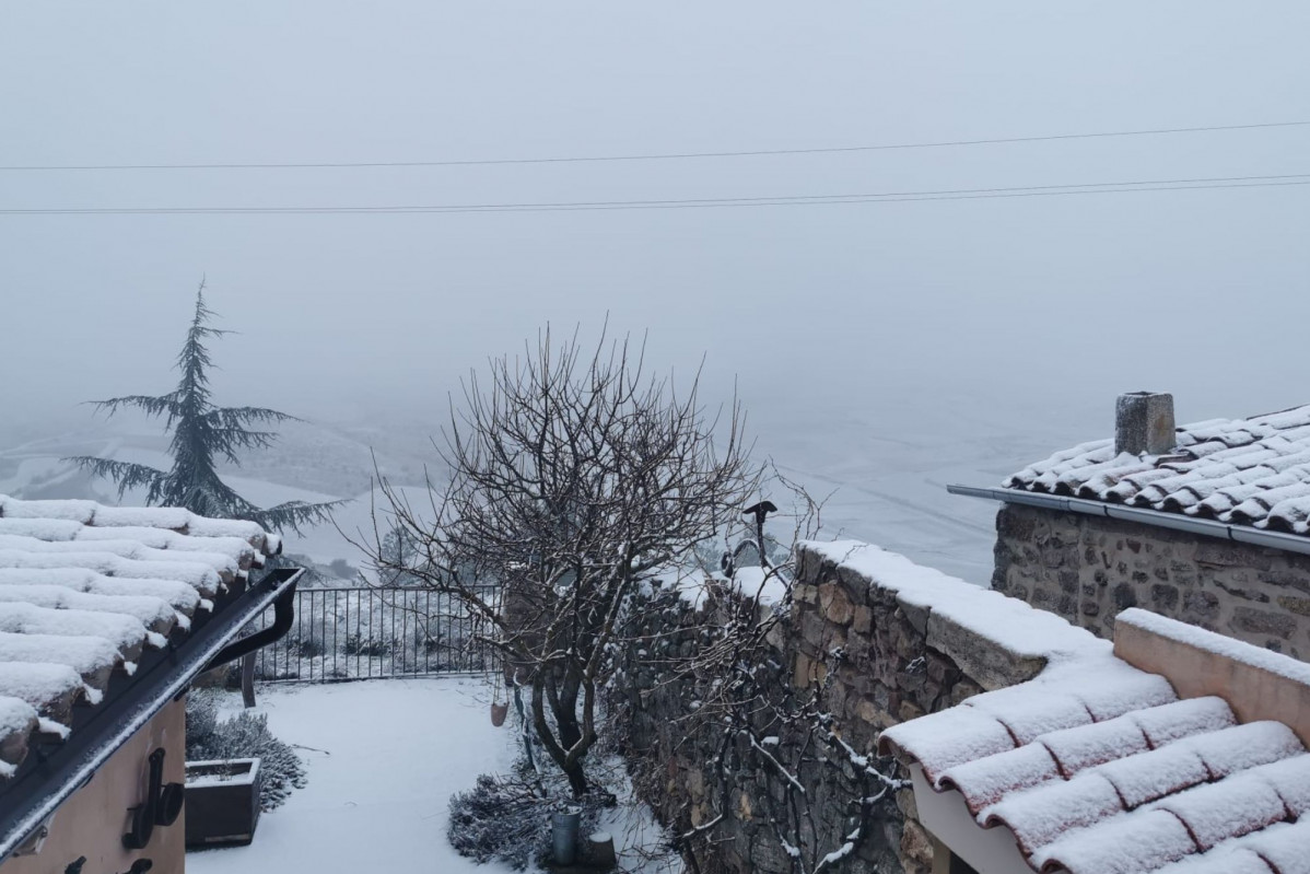 Nieve medinaceli