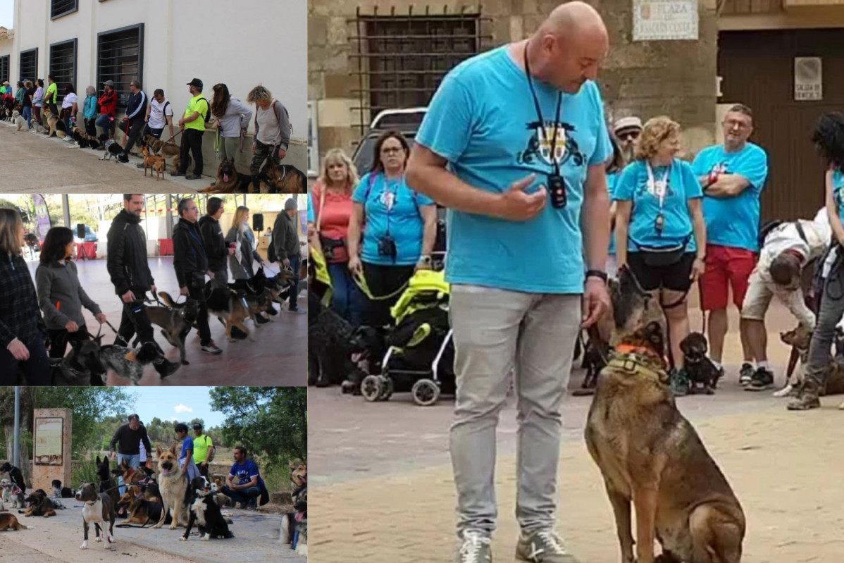 Adiestramiento canino enrique molina