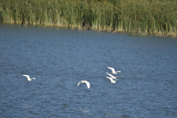Embalse monteagudo (2)