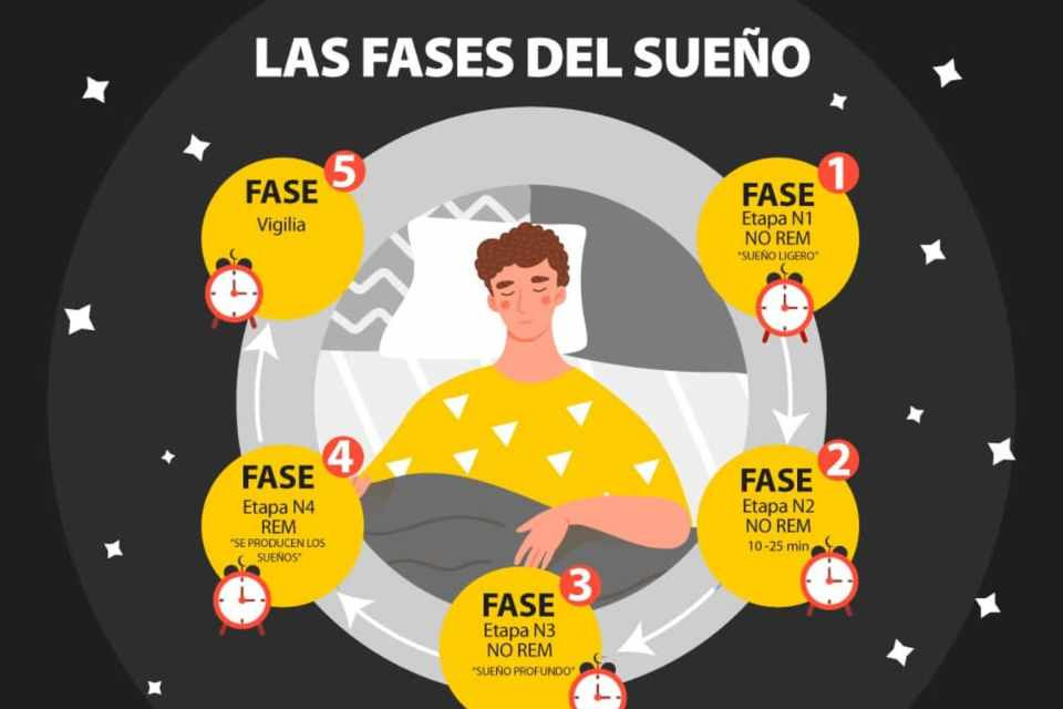 LAS FASES DEL SUEu00d1O