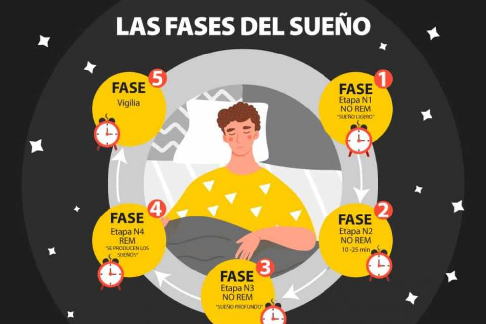 LAS FASES DEL SUEÑO