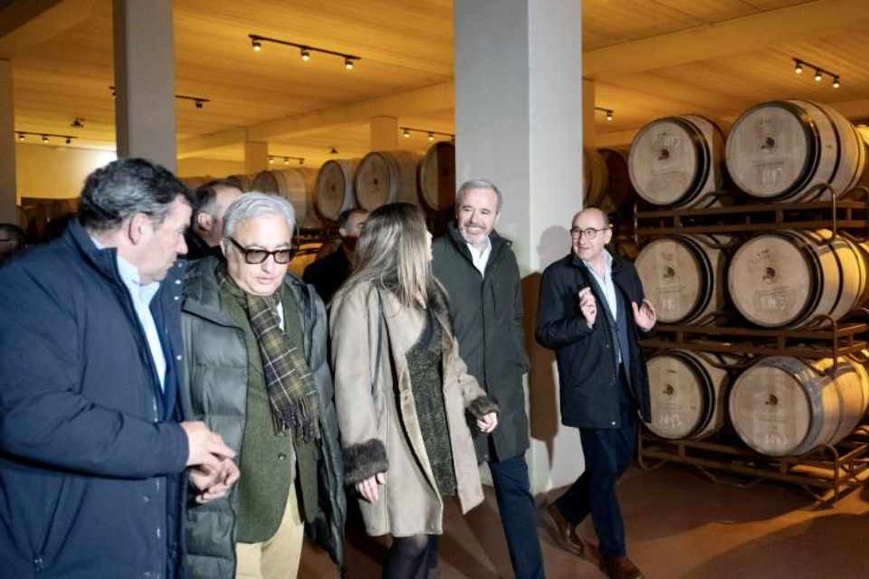 Azcón vino