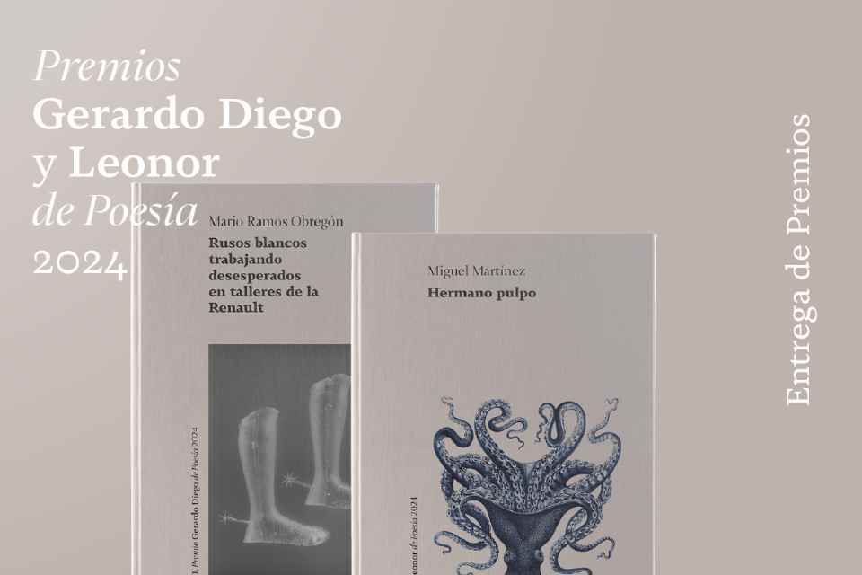 PREMIOS DIP SORIA