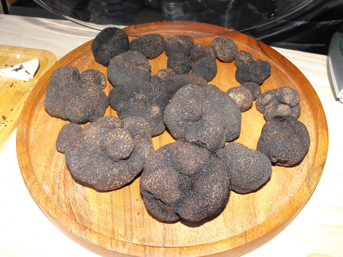 344 Trufas recolectadas en Radona