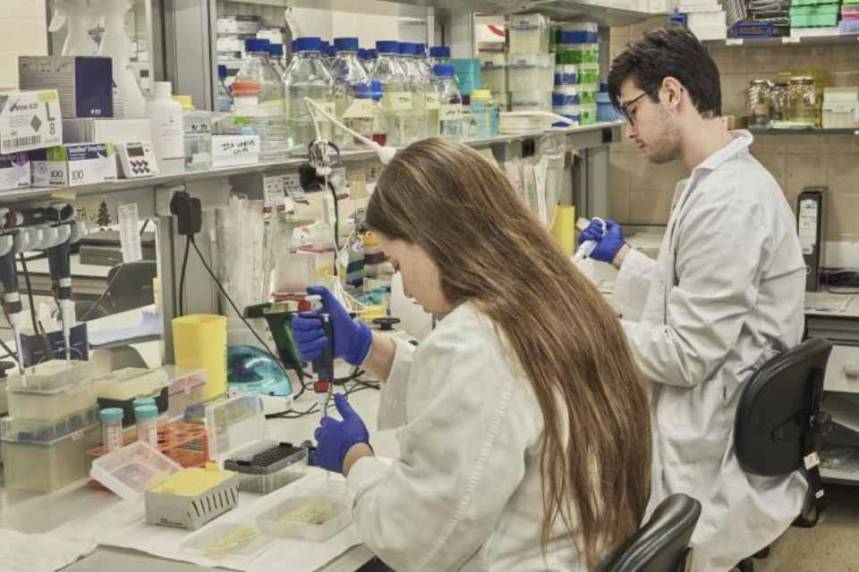INVESTIGADORES