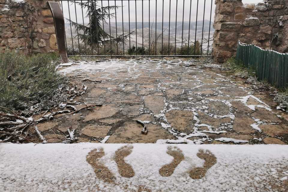 Nieve