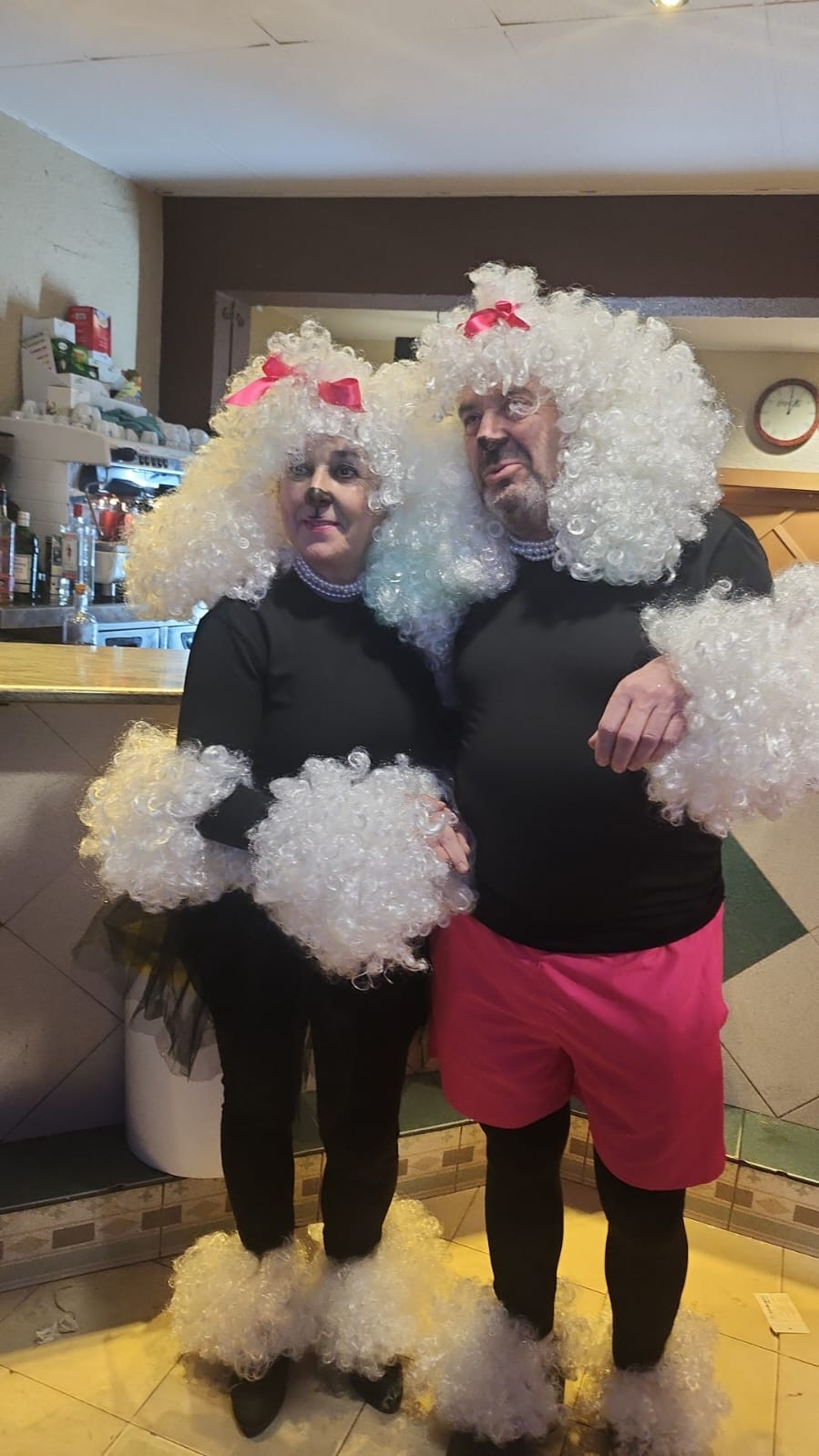 Carnavala arcos d ejalon (20)