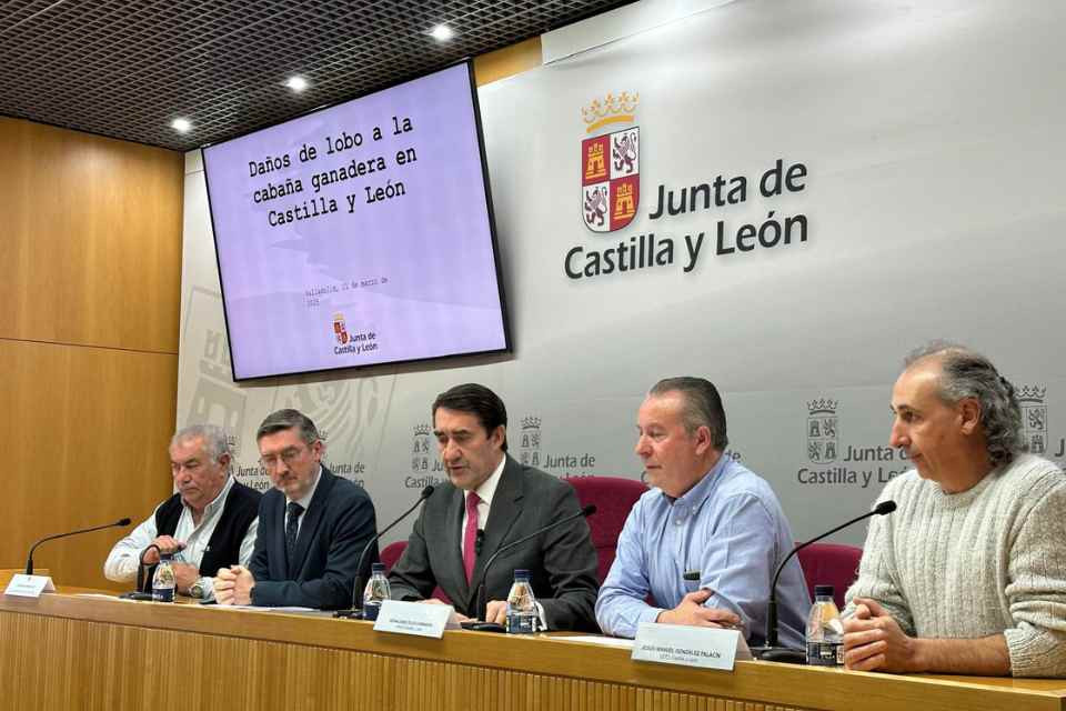 SUÁREZ QUIÑONEZ