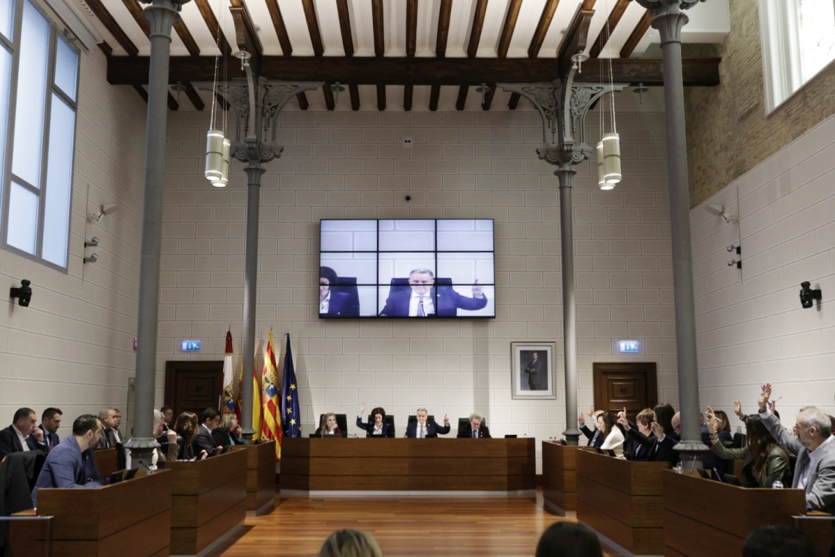 Sesiu00f3n plenaria de marzo de la DPZ Aru00e1nzazu Navarro