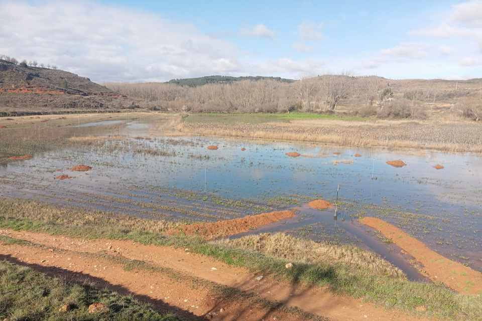Inundación ibdes