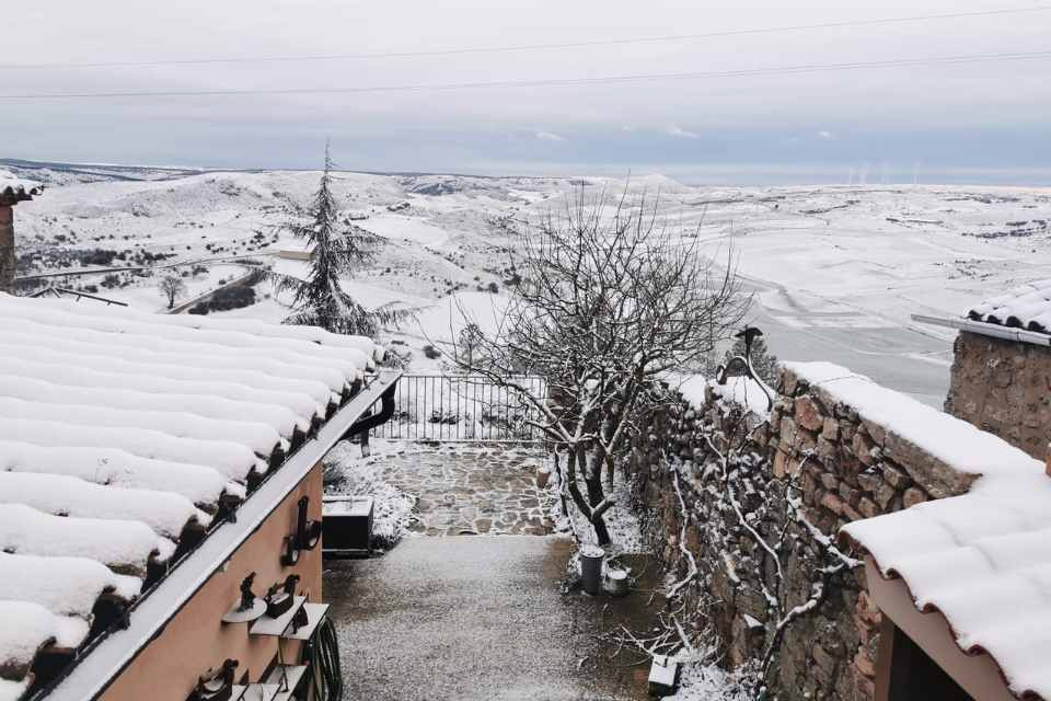 Nieve medinaceli