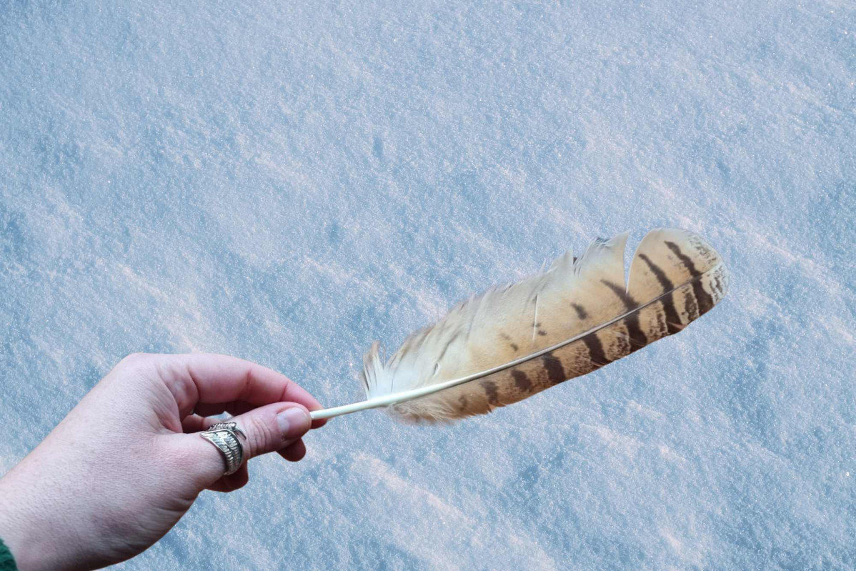 Pluma