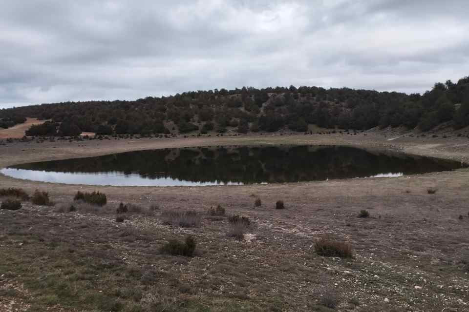 Laguna judes