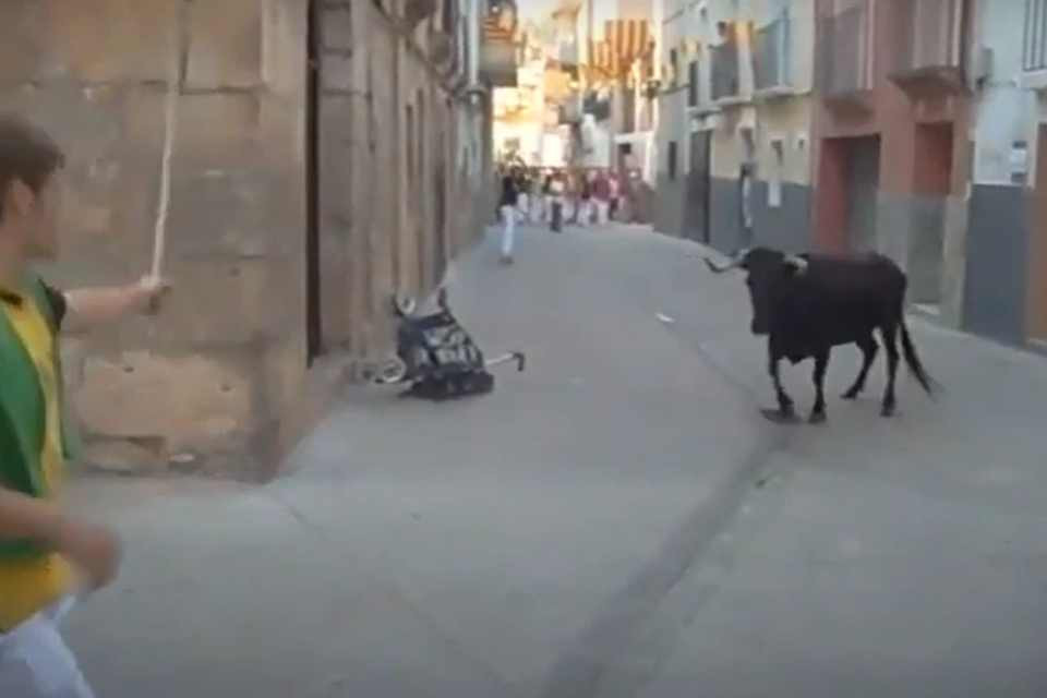 ENCIERRO ALHAMA