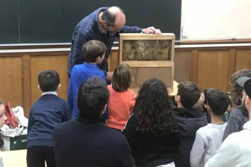 NIÑOS PANAL