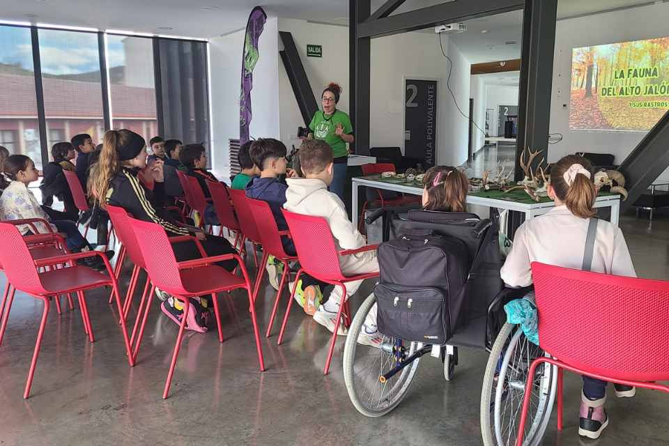 Taller espíritu animal rural