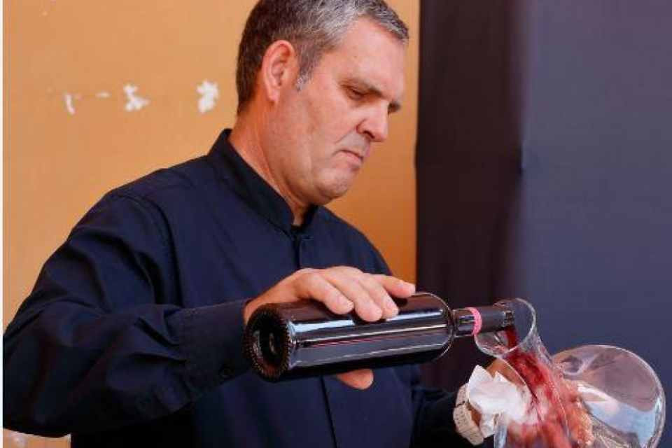 CURSO VINO
