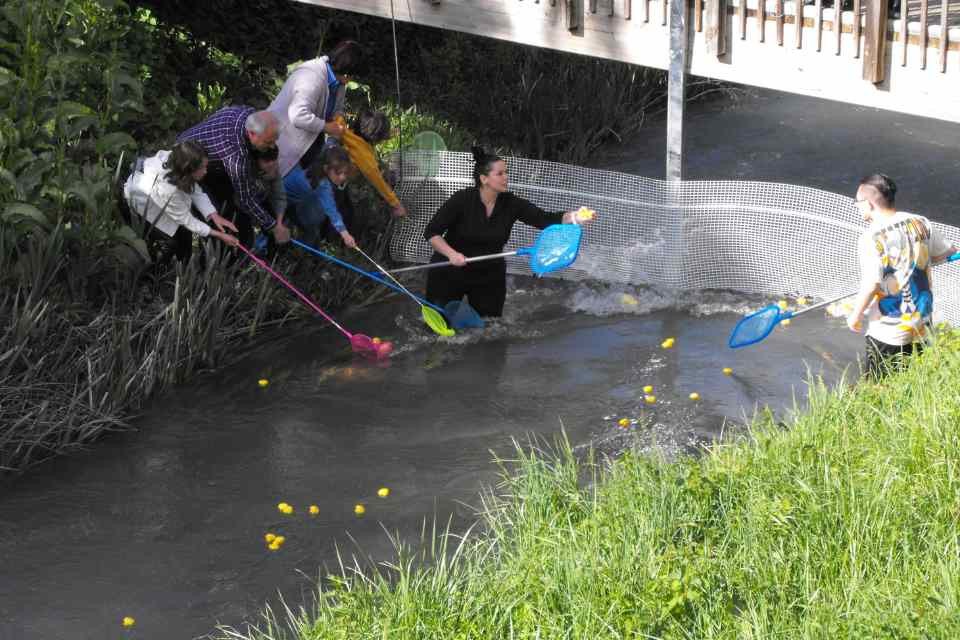 Patitos de goma
