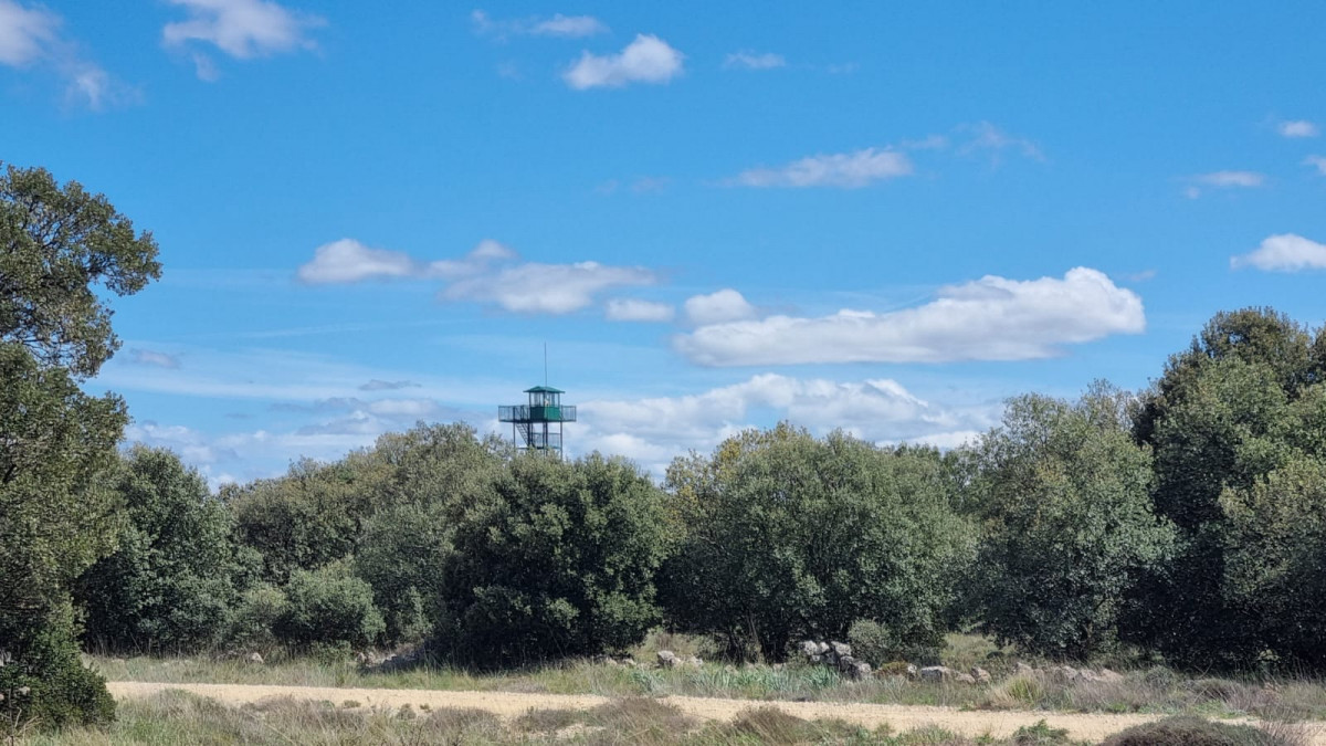 Torre vigilancia