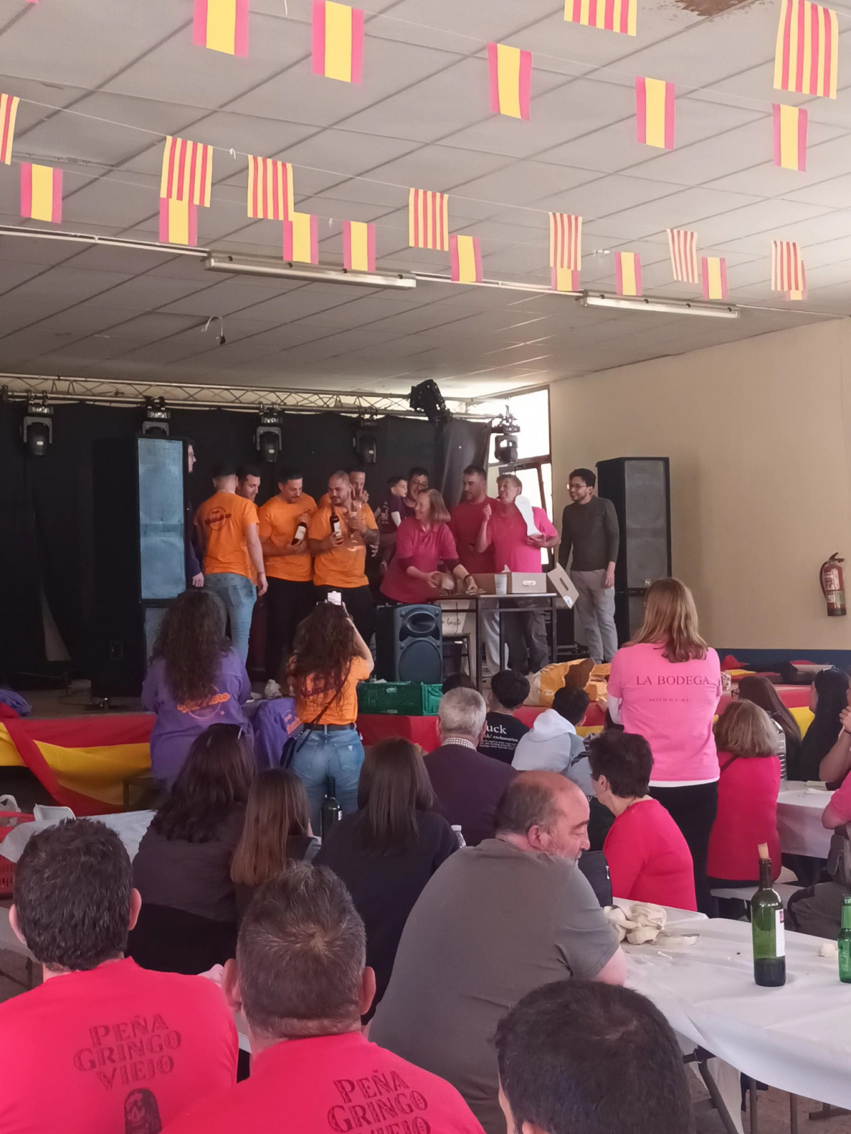 Fiestas monreal de ariza (14)