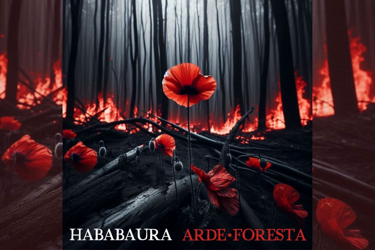 Ababaura Arde Foresta